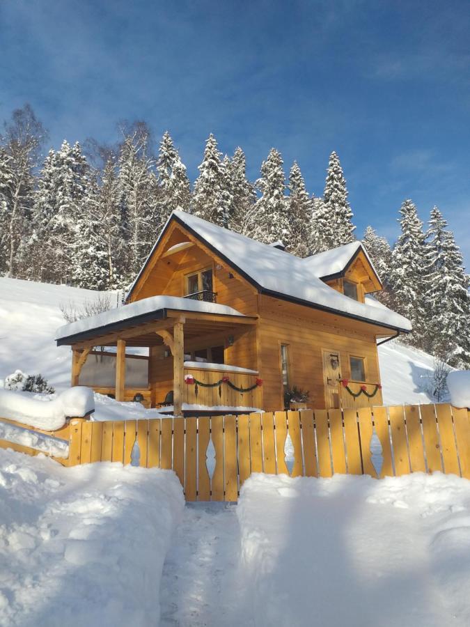 Domek Pod Groniem Mizerna ภายนอก รูปภาพ